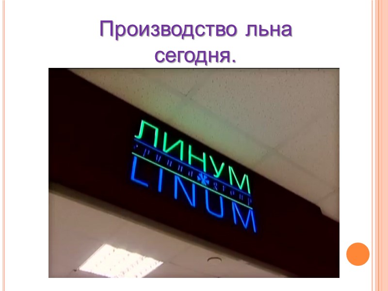 Производство льна сегодня.